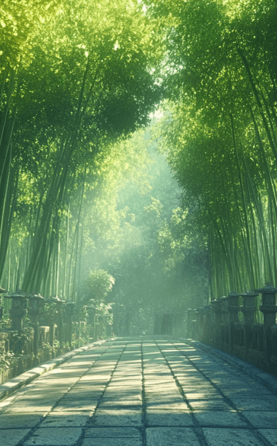 A sunlit bamboo forest in Japan, with a stone pathway leading through towering bamboo trees.
